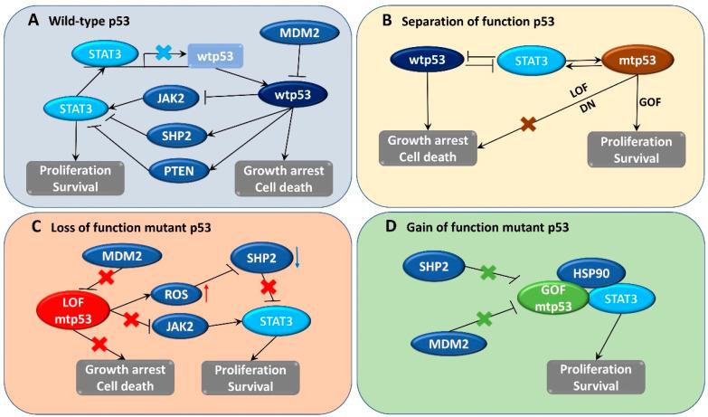 https://cdn.ncbi.nlm.nih.gov/pmc/blobs/d235/7767392/fac7a120cd90/biomedicines-08-00637-g001.jpg