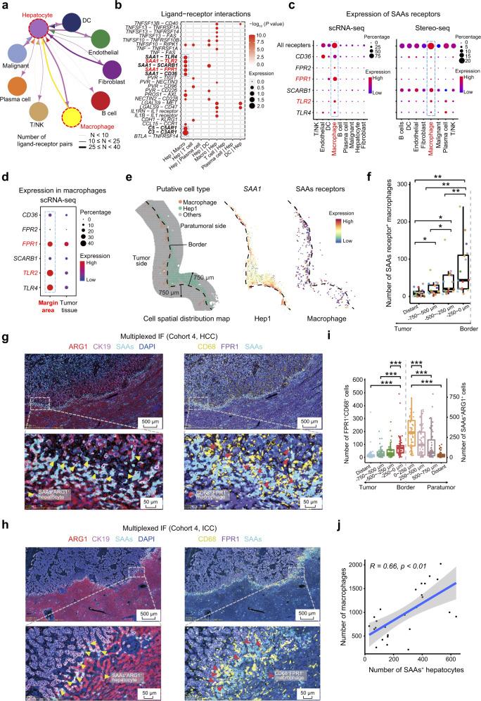 https://cdn.ncbi.nlm.nih.gov/pmc/blobs/d236/10397313/0e0f82d2e0f0/41422_2023_831_Fig5_HTML.jpg