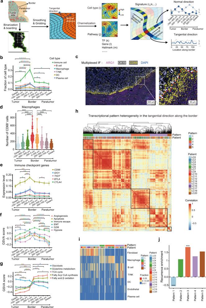 https://cdn.ncbi.nlm.nih.gov/pmc/blobs/d236/10397313/53eb7b525fcb/41422_2023_831_Fig3_HTML.jpg