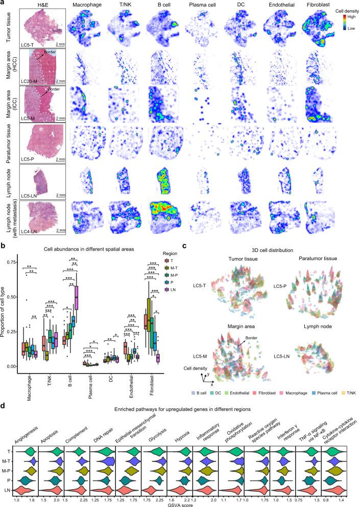 https://cdn.ncbi.nlm.nih.gov/pmc/blobs/d236/10397313/6a738b58846d/41422_2023_831_Fig2_HTML.jpg