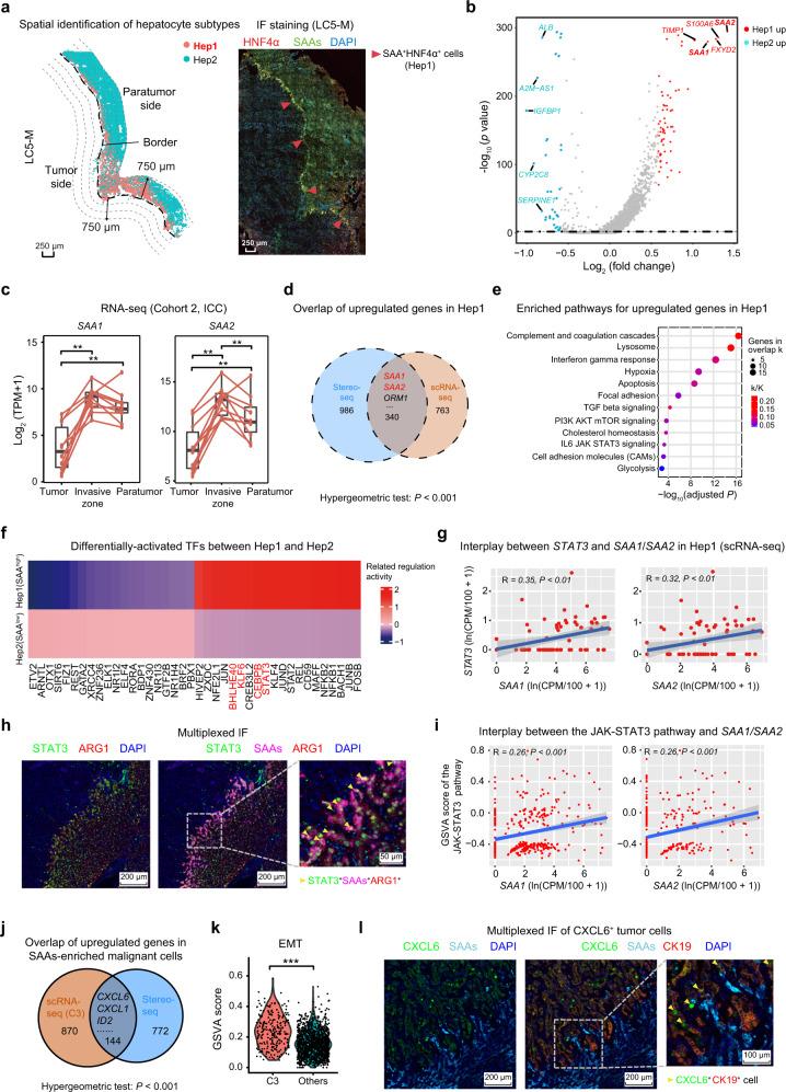 https://cdn.ncbi.nlm.nih.gov/pmc/blobs/d236/10397313/fb8e9222a966/41422_2023_831_Fig4_HTML.jpg