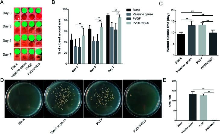 https://cdn.ncbi.nlm.nih.gov/pmc/blobs/d237/9083098/347a94c26478/c8ra03234c-f8.jpg