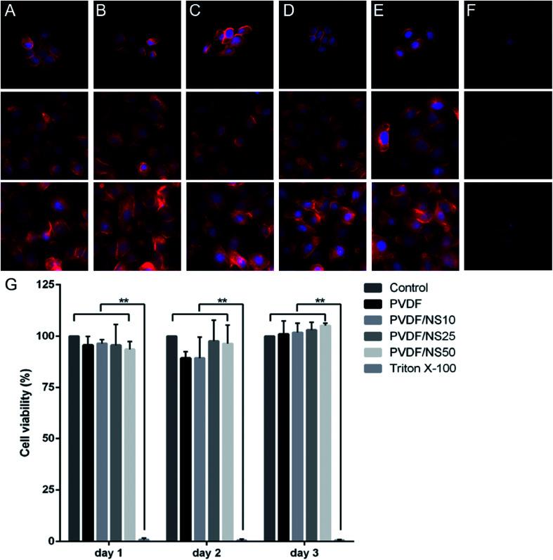 https://cdn.ncbi.nlm.nih.gov/pmc/blobs/d237/9083098/5daa69711604/c8ra03234c-f7.jpg