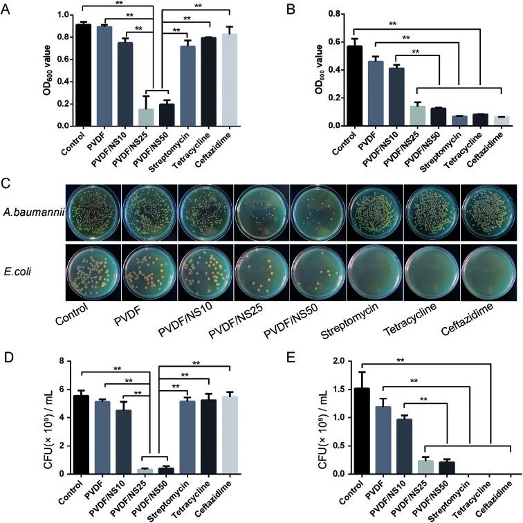 https://cdn.ncbi.nlm.nih.gov/pmc/blobs/d237/9083098/83b939c7be93/c8ra03234c-f5.jpg