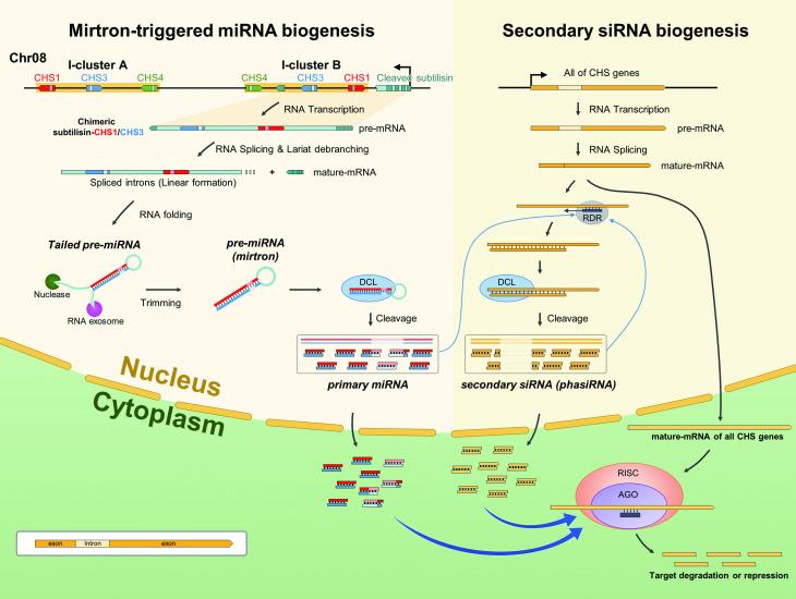 https://cdn.ncbi.nlm.nih.gov/pmc/blobs/d23c/7707508/d168c18dac6f/pone.0243085.g006.jpg