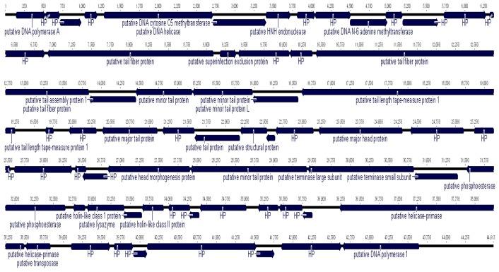 https://cdn.ncbi.nlm.nih.gov/pmc/blobs/d23d/5893235/458b68aedbe4/TLSR-29-1-37-g002.jpg