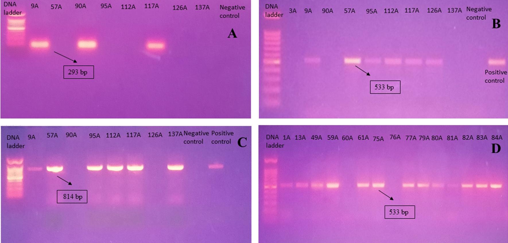 https://cdn.ncbi.nlm.nih.gov/pmc/blobs/d23f/10069030/1f2a3a62ba5a/12941_2023_574_Fig3_HTML.jpg