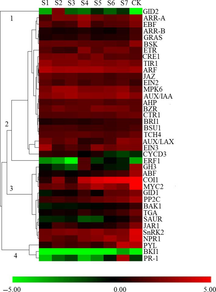 https://cdn.ncbi.nlm.nih.gov/pmc/blobs/d23f/11388512/04f557809a9c/PBI-16-72-g006.jpg
