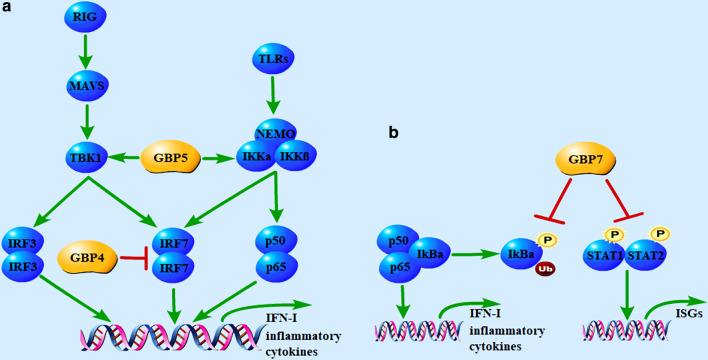 https://cdn.ncbi.nlm.nih.gov/pmc/blobs/d242/7934404/7e5278d1b3c9/12929_2021_716_Fig2_HTML.jpg