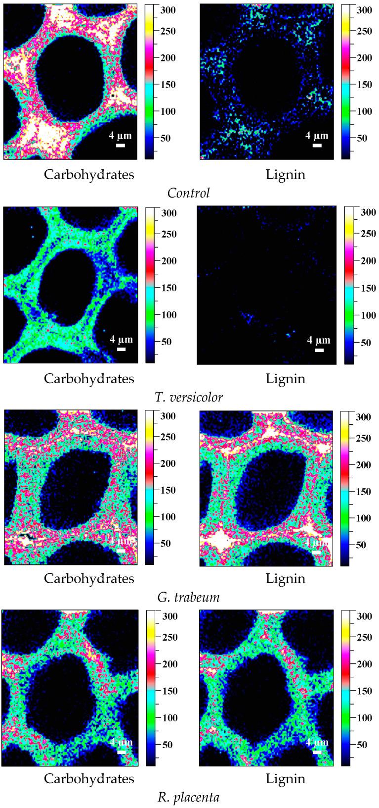 https://cdn.ncbi.nlm.nih.gov/pmc/blobs/d248/10144154/796ec08f2b10/polymers-15-01957-g006.jpg