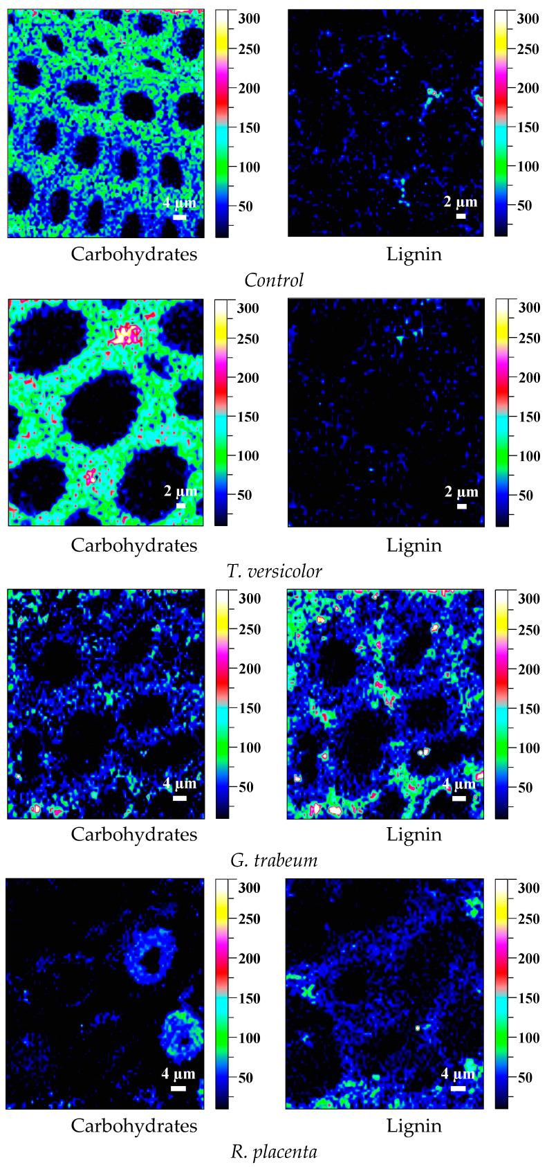 https://cdn.ncbi.nlm.nih.gov/pmc/blobs/d248/10144154/88eacd59f023/polymers-15-01957-g007.jpg
