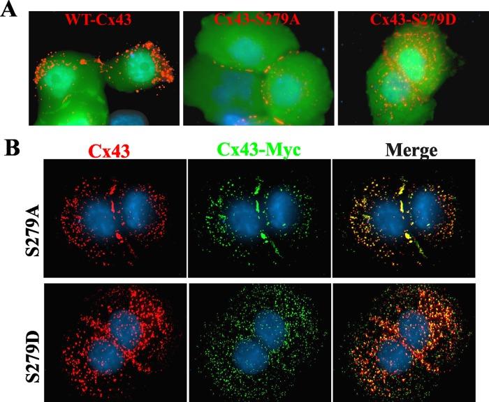 https://cdn.ncbi.nlm.nih.gov/pmc/blobs/d24a/3596244/768e0a693934/715fig8.jpg