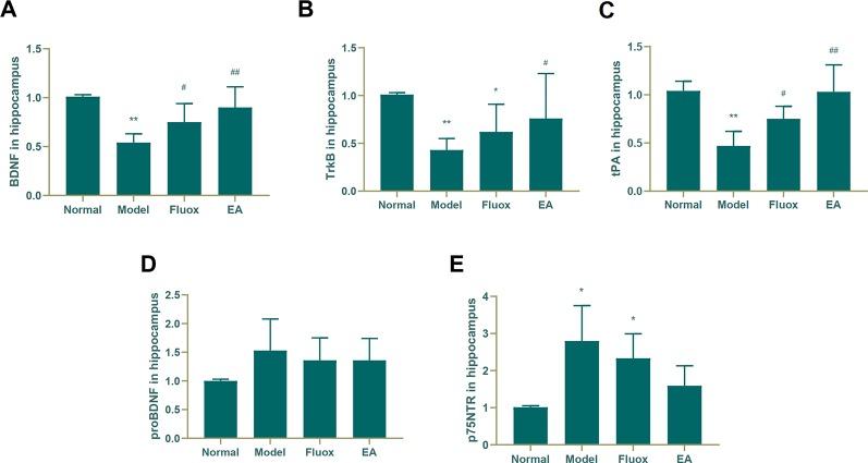 https://cdn.ncbi.nlm.nih.gov/pmc/blobs/d24a/7044269/2b765a0b1ca5/fpsyt-11-00063-g004.jpg