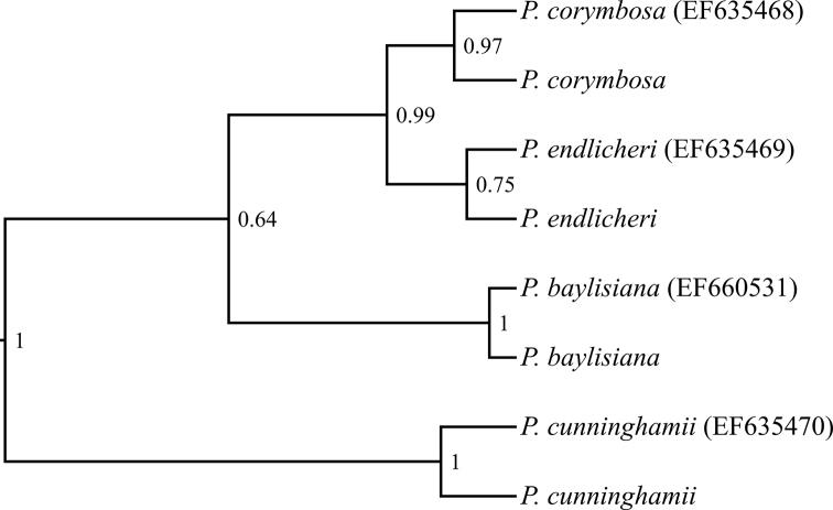 https://cdn.ncbi.nlm.nih.gov/pmc/blobs/d24a/7428460/9874f150a94e/phytokeys-155-015-g003.jpg