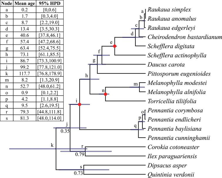 https://cdn.ncbi.nlm.nih.gov/pmc/blobs/d24a/7428460/d75134aa61ec/phytokeys-155-015-g002.jpg