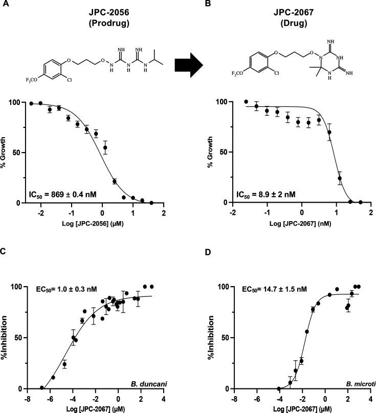 https://cdn.ncbi.nlm.nih.gov/pmc/blobs/d24b/11373198/75409ac4c2c9/aac.00423-24.f002.jpg