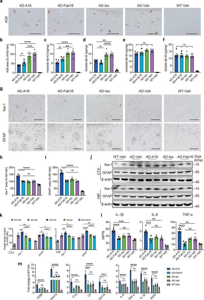 https://cdn.ncbi.nlm.nih.gov/pmc/blobs/d24f/9873795/9a9d54601cfc/41392_2022_1273_Fig3_HTML.jpg