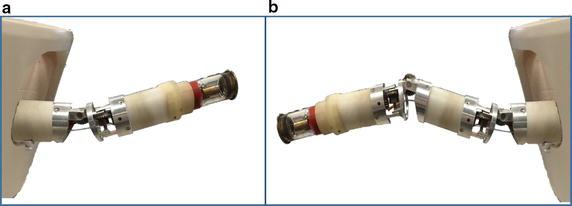 https://cdn.ncbi.nlm.nih.gov/pmc/blobs/d251/5540246/9274f6d52e43/12938_2017_383_Fig2_HTML.jpg