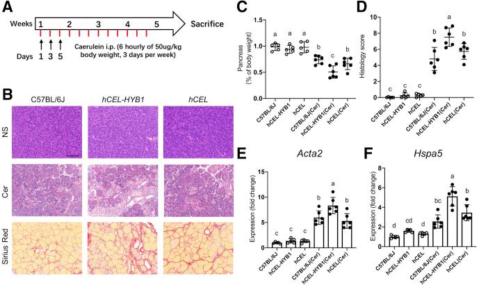 https://cdn.ncbi.nlm.nih.gov/pmc/blobs/d251/9117557/26d2a667f9cc/gr9.jpg