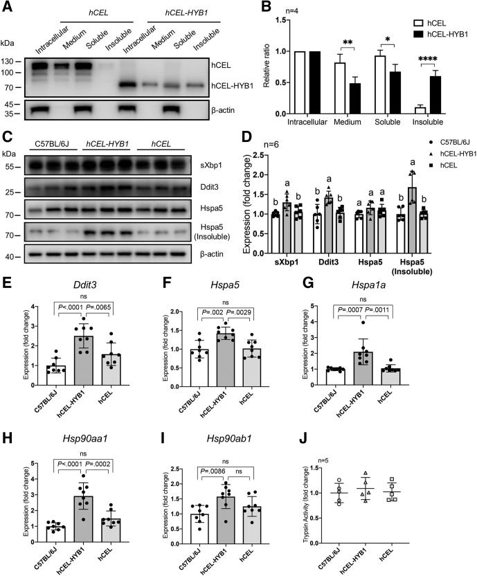 https://cdn.ncbi.nlm.nih.gov/pmc/blobs/d251/9117557/aecaa133a02f/gr5.jpg
