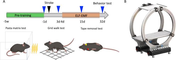 https://cdn.ncbi.nlm.nih.gov/pmc/blobs/d252/11976812/ba5f4e3f143a/12975_2023_1202_Fig1_HTML.jpg