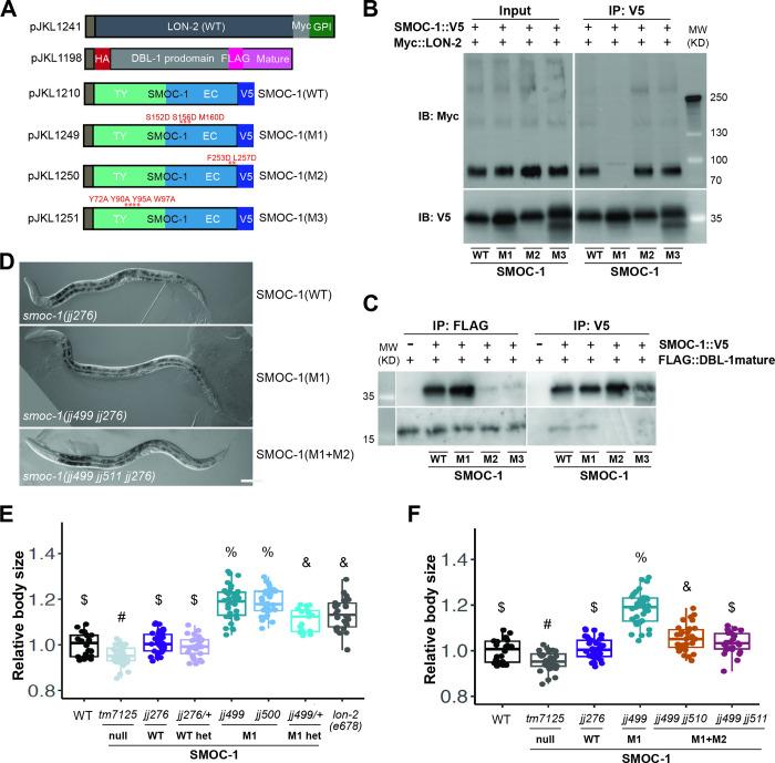 https://cdn.ncbi.nlm.nih.gov/pmc/blobs/d253/10464977/9dab9fc5ae48/pbio.3002272.g009.jpg