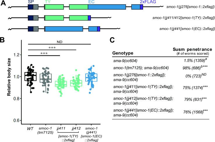 https://cdn.ncbi.nlm.nih.gov/pmc/blobs/d253/10464977/a450a9ec0a37/pbio.3002272.g004.jpg