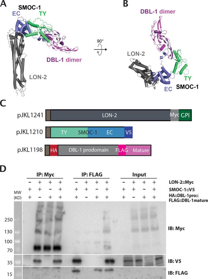 https://cdn.ncbi.nlm.nih.gov/pmc/blobs/d253/10464977/aa490195fbfa/pbio.3002272.g008.jpg