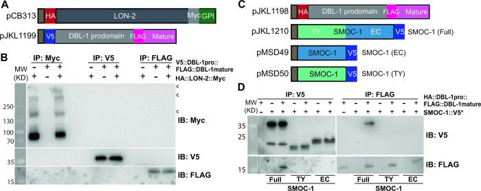 https://cdn.ncbi.nlm.nih.gov/pmc/blobs/d253/10464977/ca0608b9cd2f/pbio.3002272.g005.jpg