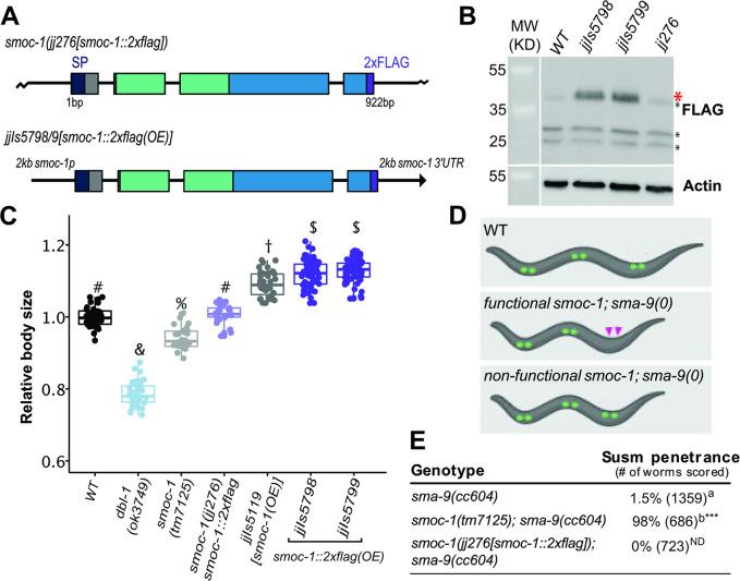 https://cdn.ncbi.nlm.nih.gov/pmc/blobs/d253/10464977/d0067e8c9193/pbio.3002272.g001.jpg