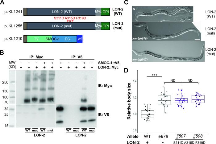 https://cdn.ncbi.nlm.nih.gov/pmc/blobs/d253/10464977/e21e302c11d0/pbio.3002272.g010.jpg