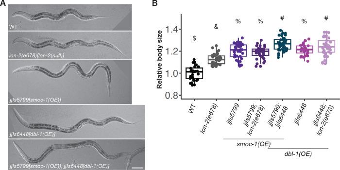 https://cdn.ncbi.nlm.nih.gov/pmc/blobs/d253/10464977/fb05a5a12c55/pbio.3002272.g011.jpg