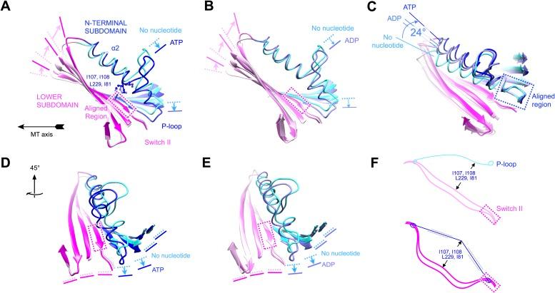 https://cdn.ncbi.nlm.nih.gov/pmc/blobs/d253/4383081/c4ca5ce243bb/elife04686f006.jpg