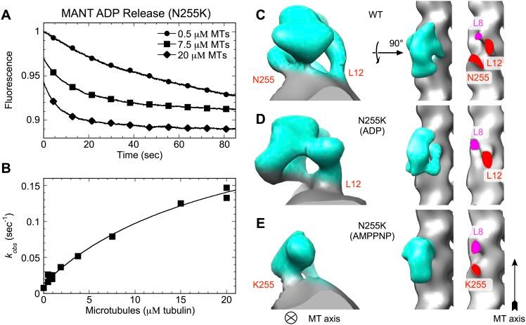 https://cdn.ncbi.nlm.nih.gov/pmc/blobs/d253/4383081/ee3dba17d155/elife04686f007.jpg