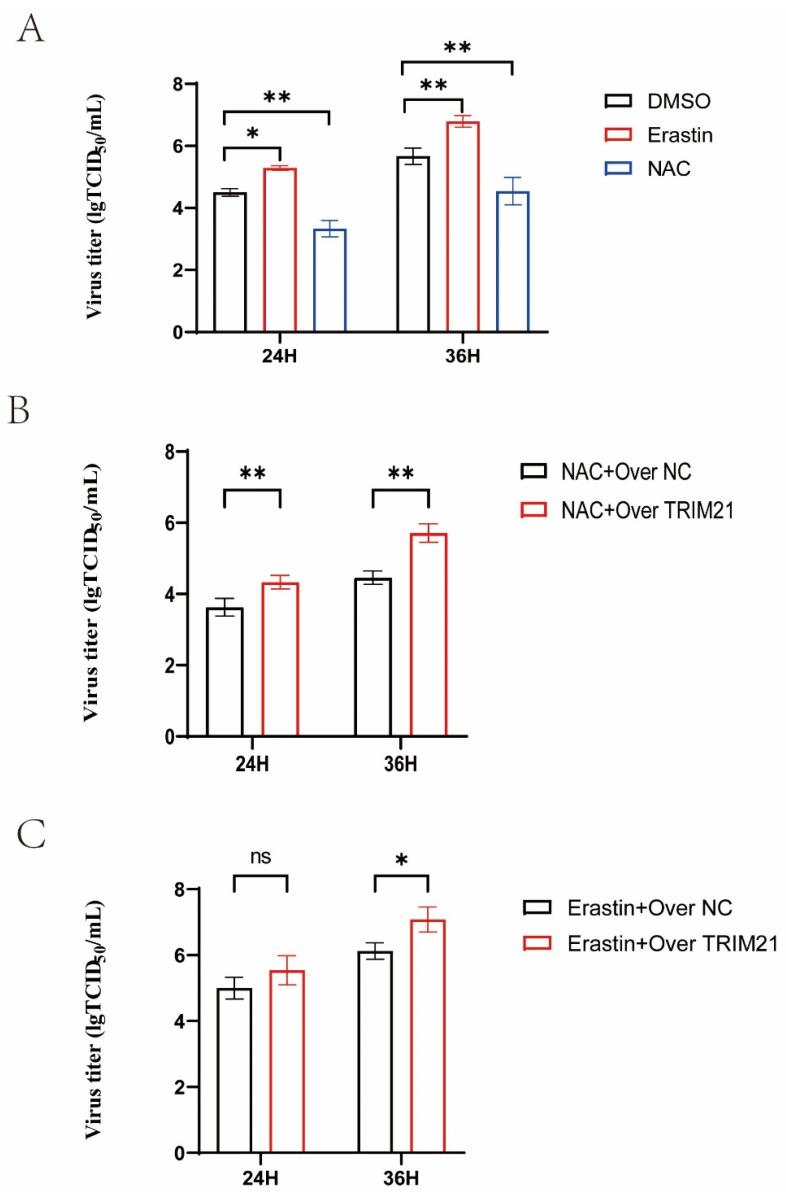 https://cdn.ncbi.nlm.nih.gov/pmc/blobs/d255/10970474/fb71ffaf0bd3/ijms-25-03315-g007.jpg