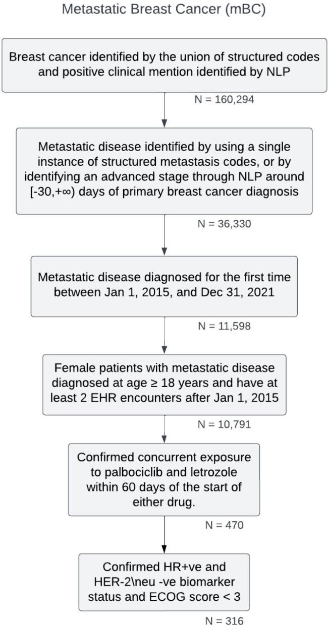 https://cdn.ncbi.nlm.nih.gov/pmc/blobs/d255/12097284/7b30e14c218f/cancer-v11-e64697-g002.jpg