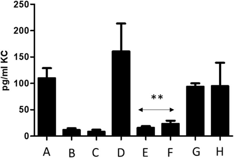 https://cdn.ncbi.nlm.nih.gov/pmc/blobs/d256/11420332/1817f96e27b1/BTT-18-257-g0009.jpg
