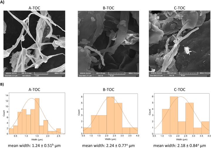 https://cdn.ncbi.nlm.nih.gov/pmc/blobs/d256/11757758/de1fc9aea906/gr3.jpg
