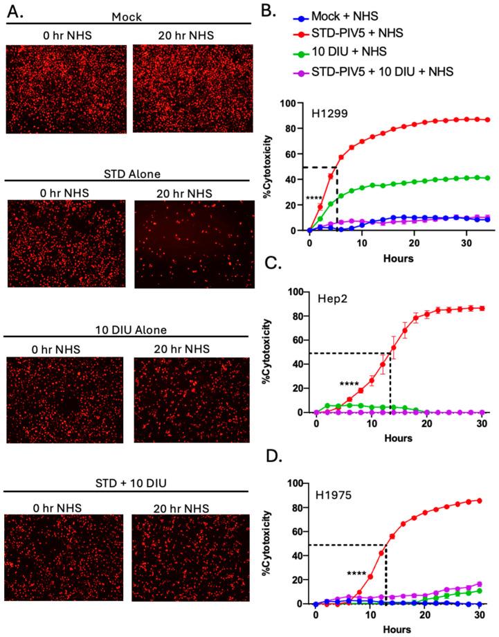 https://cdn.ncbi.nlm.nih.gov/pmc/blobs/d256/12031084/f100f0a7c403/viruses-17-00488-g005.jpg