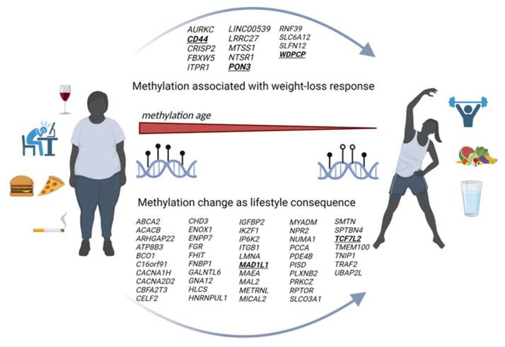 https://cdn.ncbi.nlm.nih.gov/pmc/blobs/d257/11357549/378fc318865c/nutrients-16-02614-g005.jpg