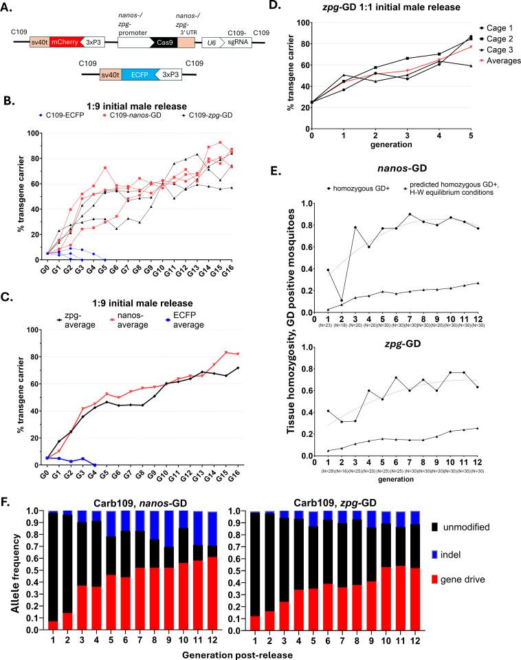 https://cdn.ncbi.nlm.nih.gov/pmc/blobs/d257/12221180/cb2ddde9cf9c/pgen.1011757.g001.jpg