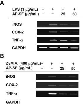 https://cdn.ncbi.nlm.nih.gov/pmc/blobs/d259/4452522/6f63f5d43812/gr3.jpg