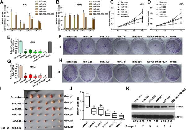 https://cdn.ncbi.nlm.nih.gov/pmc/blobs/d25a/4745736/e6ae87d3bca1/oncotarget-06-29413-g002.jpg