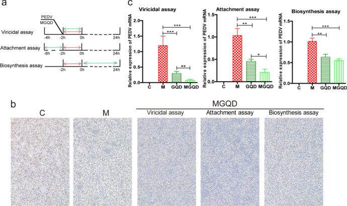 https://cdn.ncbi.nlm.nih.gov/pmc/blobs/d25b/11327325/28c04bc1f7ca/41598_2024_70059_Fig7_HTML.jpg