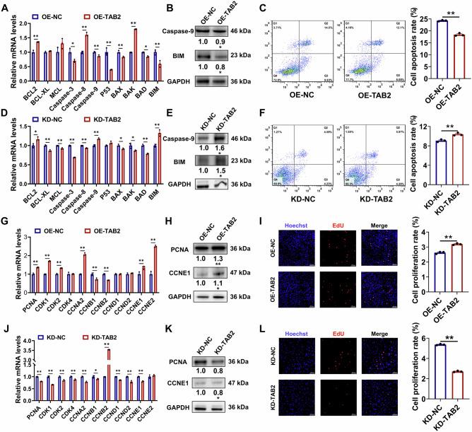 https://cdn.ncbi.nlm.nih.gov/pmc/blobs/d25b/11447032/77bcd2942603/42003_2024_6960_Fig2_HTML.jpg