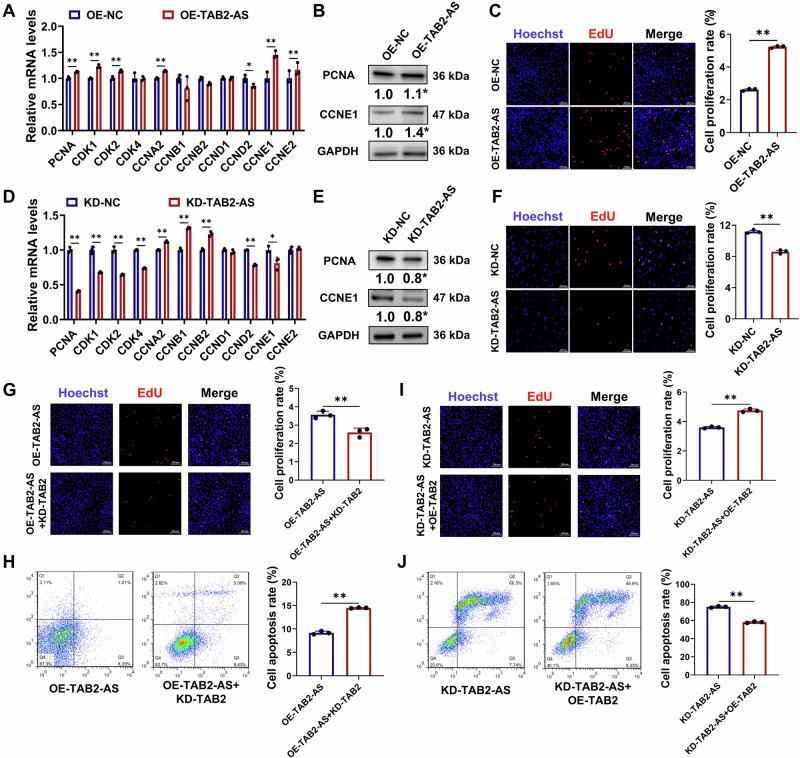 https://cdn.ncbi.nlm.nih.gov/pmc/blobs/d25b/11447032/cb480574d691/42003_2024_6960_Fig6_HTML.jpg