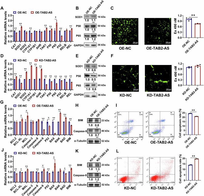 https://cdn.ncbi.nlm.nih.gov/pmc/blobs/d25b/11447032/dcd2f742c469/42003_2024_6960_Fig5_HTML.jpg