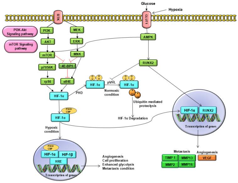 https://cdn.ncbi.nlm.nih.gov/pmc/blobs/d25b/12347496/8b33cf810aae/ijms-26-07642-g002.jpg