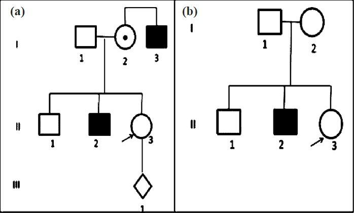 https://cdn.ncbi.nlm.nih.gov/pmc/blobs/d25c/4181156/aef82e737857/IJMR-140-19-g004.jpg