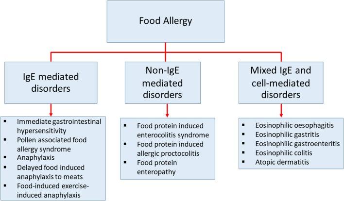 https://cdn.ncbi.nlm.nih.gov/pmc/blobs/d25c/6299021/3313bee40845/fimmu-09-02939-g0001.jpg